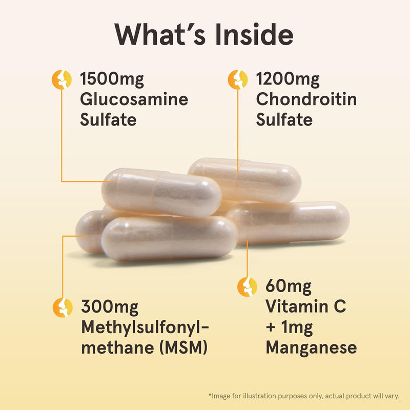 Glucosamine + Chondroitin + MSM 240 Capsules