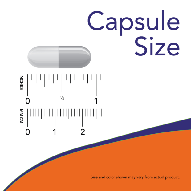 L-Carnosine 500 mg 50 Veg Capsules