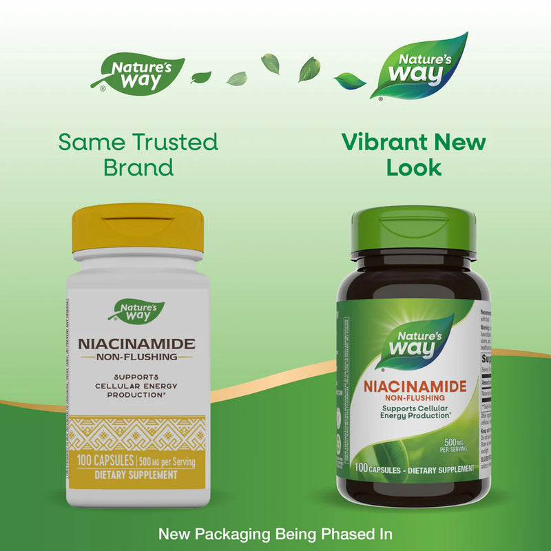 Niacinamide 500 mg 100 Capsules by Nature&