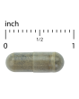 Terry Naturally Andrographis EP80 with Umckaloabo, 60 Capsules, by Europharma